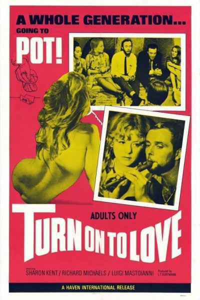 Caratula, cartel, poster o portada de Turn on to Love
