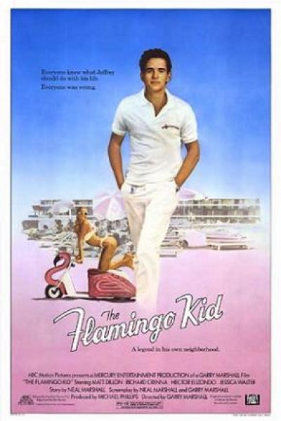 Caratula, cartel, poster o portada de The Flamingo Kid