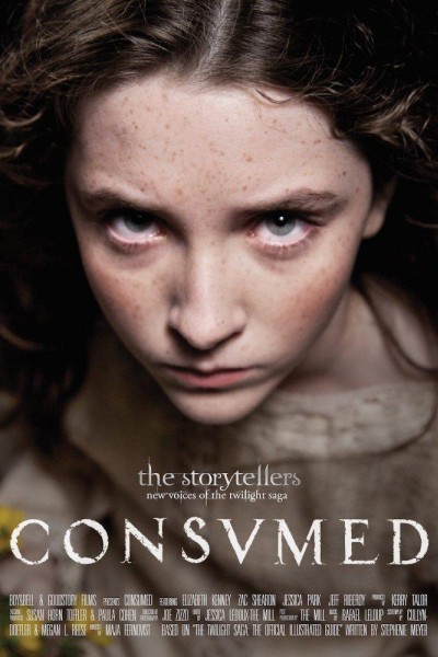 Caratula, cartel, poster o portada de Twilight Storytellers: Consumed