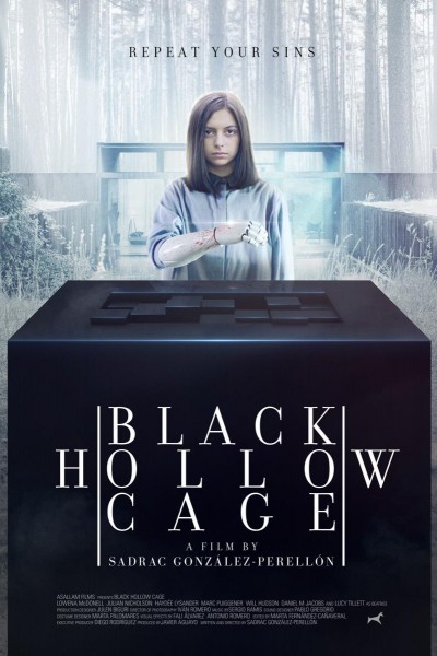 Caratula, cartel, poster o portada de Black Hollow Cage