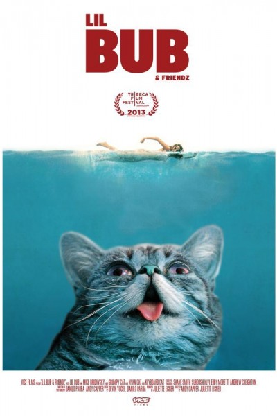 Caratula, cartel, poster o portada de Lil Bub & Friendz