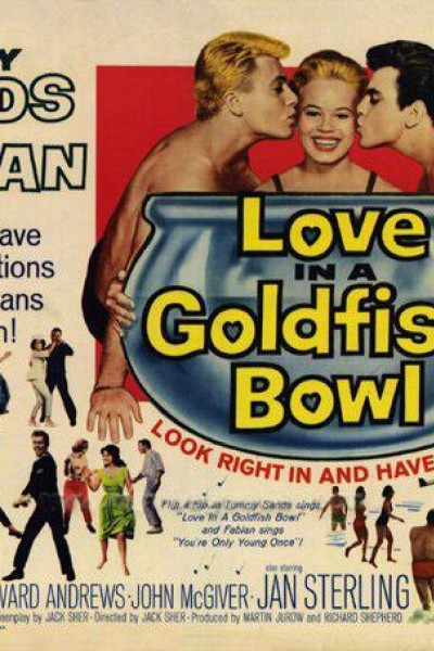 Caratula, cartel, poster o portada de Love in a Goldfish Bowl