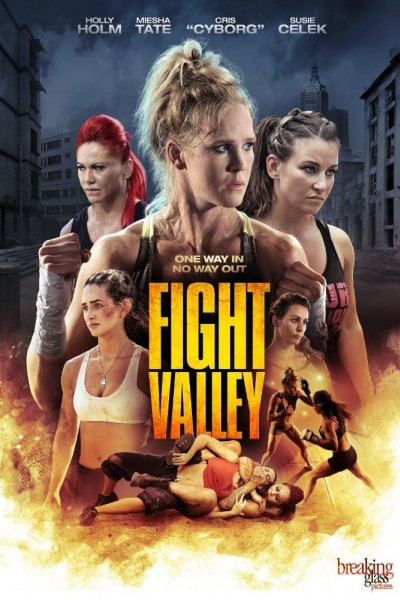 Caratula, cartel, poster o portada de Fight Valley