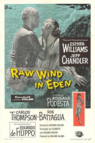 Caratula, cartel, poster o portada de Raw Wind in Eden