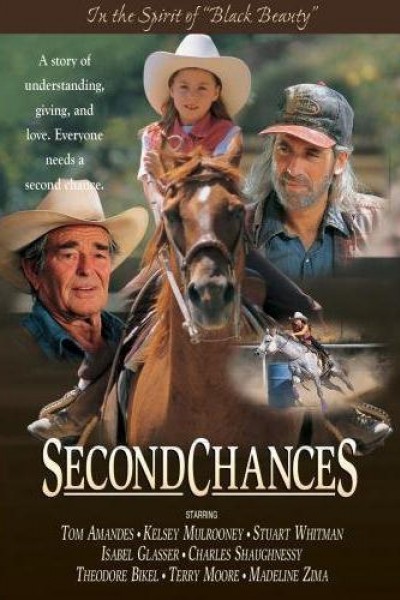 Caratula, cartel, poster o portada de Second Chances