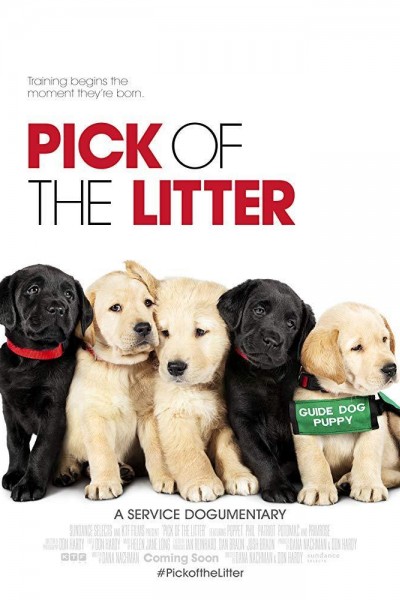 Caratula, cartel, poster o portada de Pick of the Litter