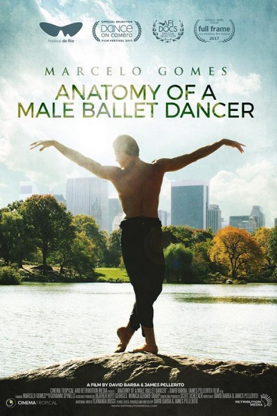 Caratula, cartel, poster o portada de Anatomy of a Male Ballet Dancer