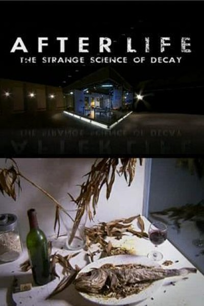 Caratula, cartel, poster o portada de After Life: The Strange Science of Decay