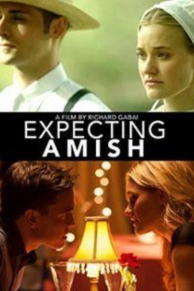 Caratula, cartel, poster o portada de La decisión Amish