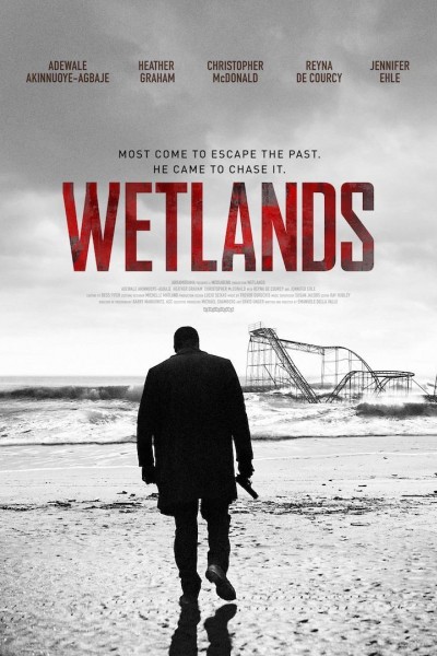 Caratula, cartel, poster o portada de Wetlands