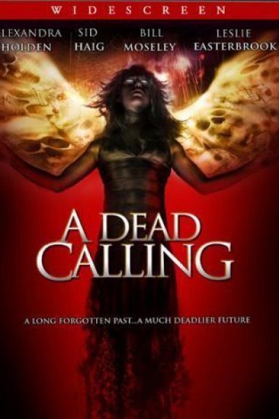 Caratula, cartel, poster o portada de A Dead Calling