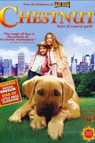 Caratula, cartel, poster o portada de Chestnut: El héroe de Central Park
