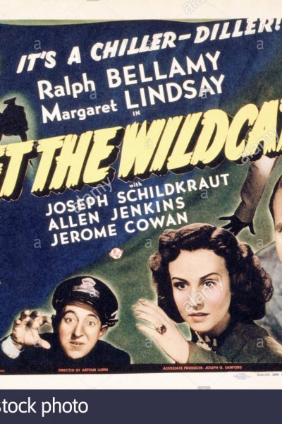 Caratula, cartel, poster o portada de Meet the Wildcat