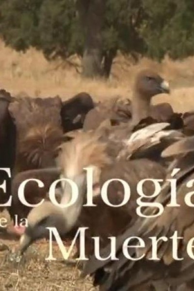 Cubierta de Ecología de la muerte