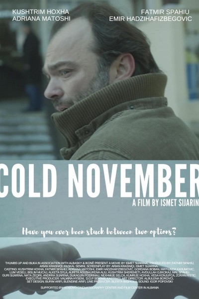 Caratula, cartel, poster o portada de Cold November