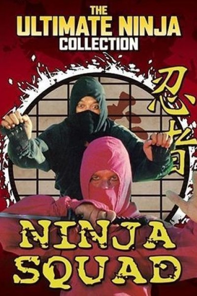 Caratula, cartel, poster o portada de The Ninja Squad
