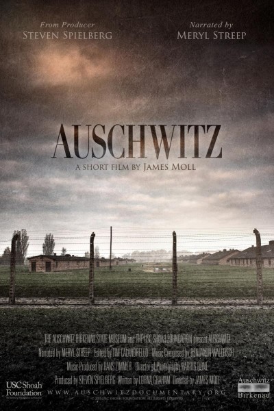 Caratula, cartel, poster o portada de Auschwitz