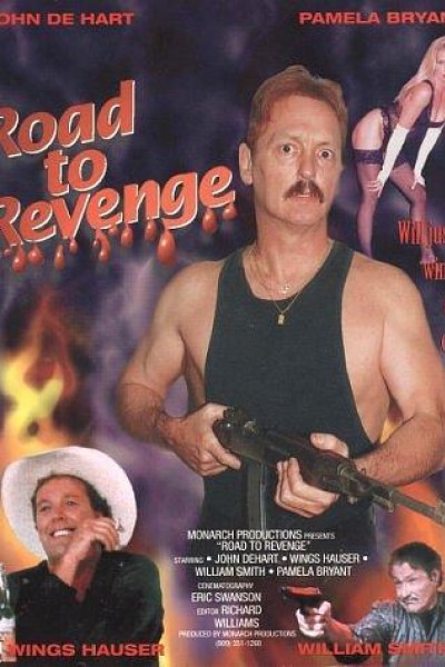 Caratula, cartel, poster o portada de Road to Revenge