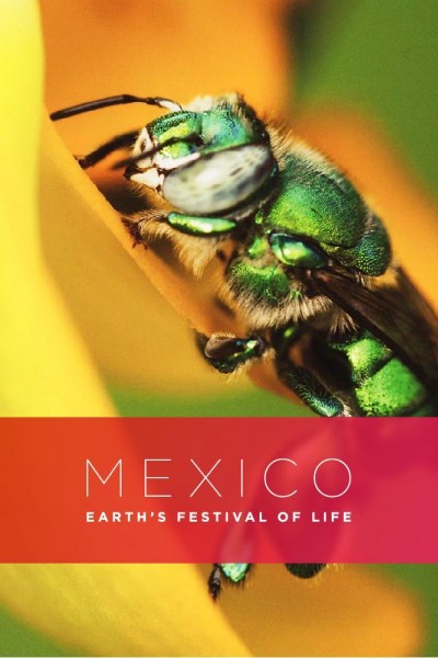 Caratula, cartel, poster o portada de México salvaje