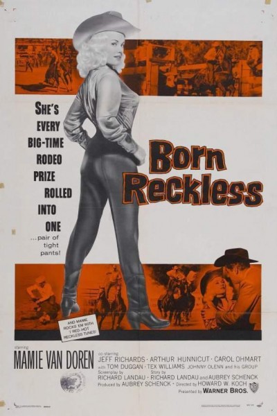 Caratula, cartel, poster o portada de Born Reckless