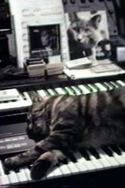 Cubierta de Chat écoutant la musique