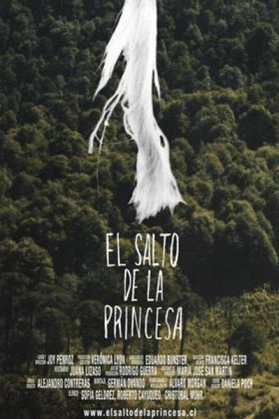 Cubierta de El salto de la princesa