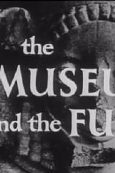 Cubierta de The Museum and the Fury
