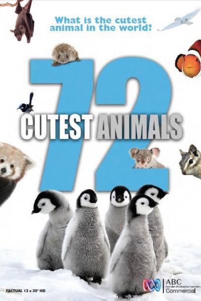 Caratula, cartel, poster o portada de 72 Cutest Animals