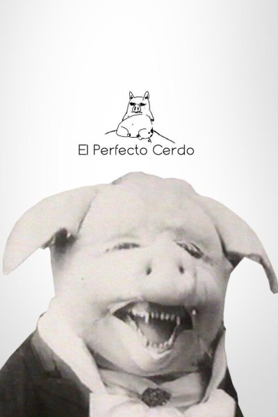 Caratula, cartel, poster o portada de El perfecto cerdo