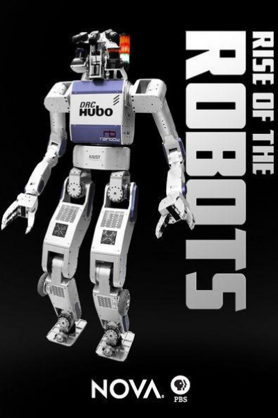 Cubierta de Rise of the Robots