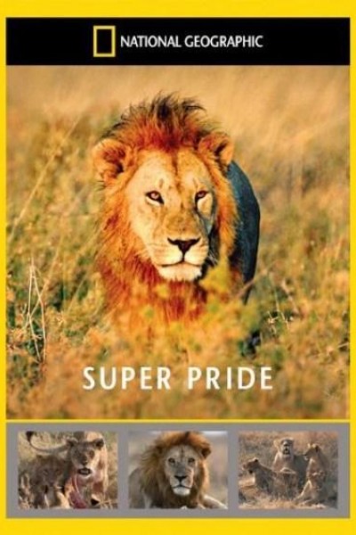 Caratula, cartel, poster o portada de Superpride (Super Pride)