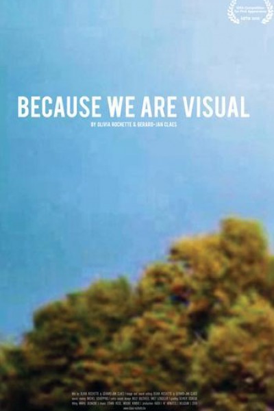 Cubierta de Because We Are Visual