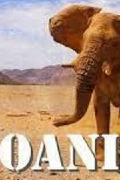 Cubierta de Hoanib: Los secretos de los elefantes del desierto