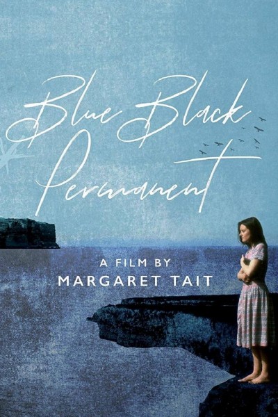 Caratula, cartel, poster o portada de Blue Black Permanent