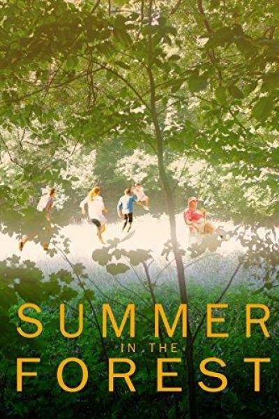 Caratula, cartel, poster o portada de Summer in the Forest