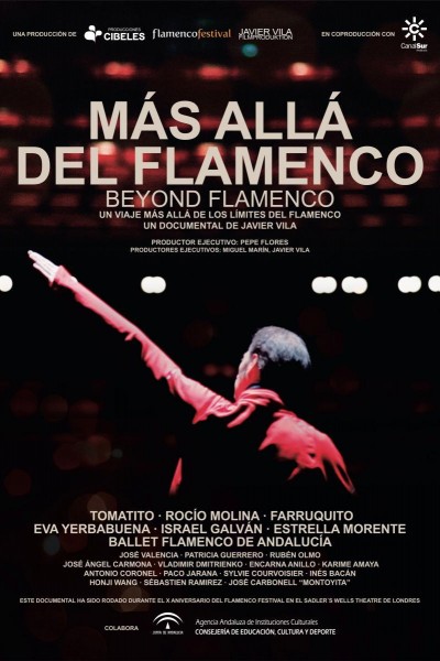 Cubierta de Más allá del flamenco