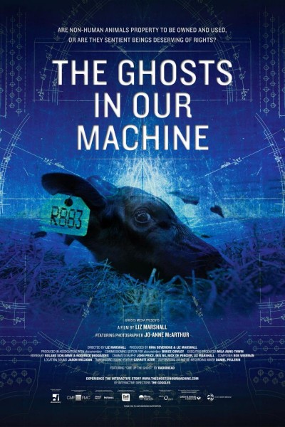 Caratula, cartel, poster o portada de The Ghosts in Our Machine