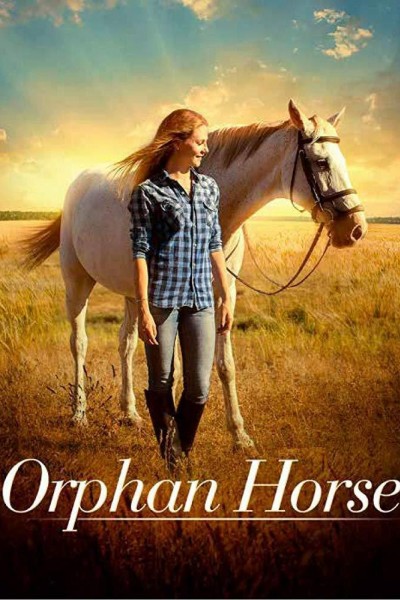 Caratula, cartel, poster o portada de Orphan Horse