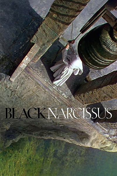 Caratula, cartel, poster o portada de Narciso Negro