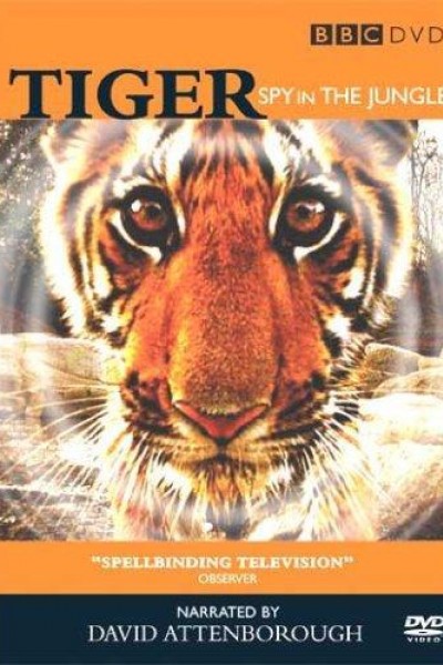 Caratula, cartel, poster o portada de Tiger: Un espía entre los tigres