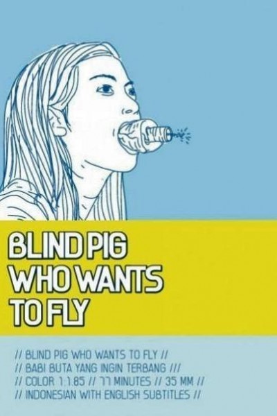 Caratula, cartel, poster o portada de Blind Pig Wants to Fly