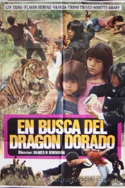 Caratula, cartel, poster o portada de En busca del dragón dorado
