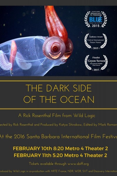 Caratula, cartel, poster o portada de El lado oscuro del océano