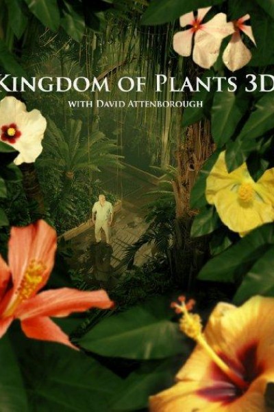 Caratula, cartel, poster o portada de Kingdom of Plants 3D