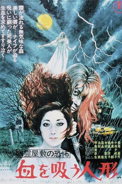 Caratula, cartel, poster o portada de Vampire Doll