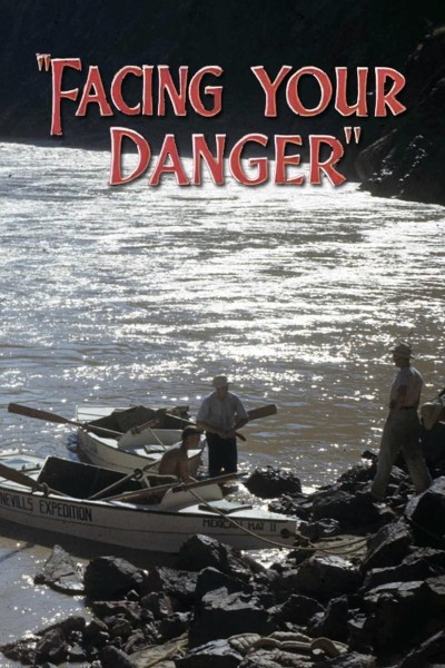 Caratula, cartel, poster o portada de Facing Your Danger (S)