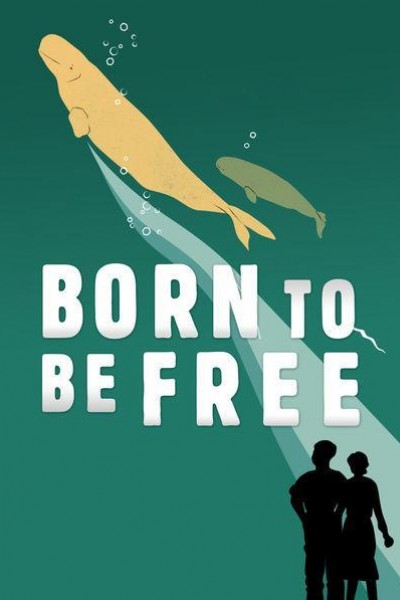 Caratula, cartel, poster o portada de Born to Be Free