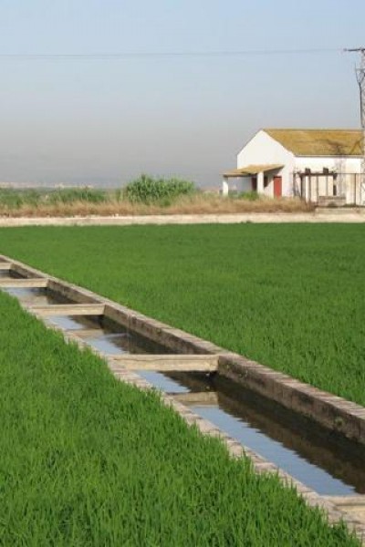 Cubierta de Tiempo de agua