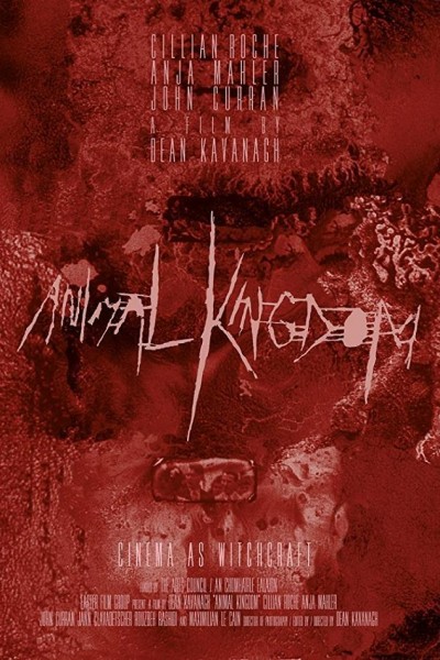 Caratula, cartel, poster o portada de Animal Kingdom