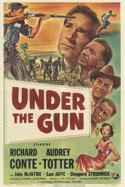 Caratula, cartel, poster o portada de Under the Gun
